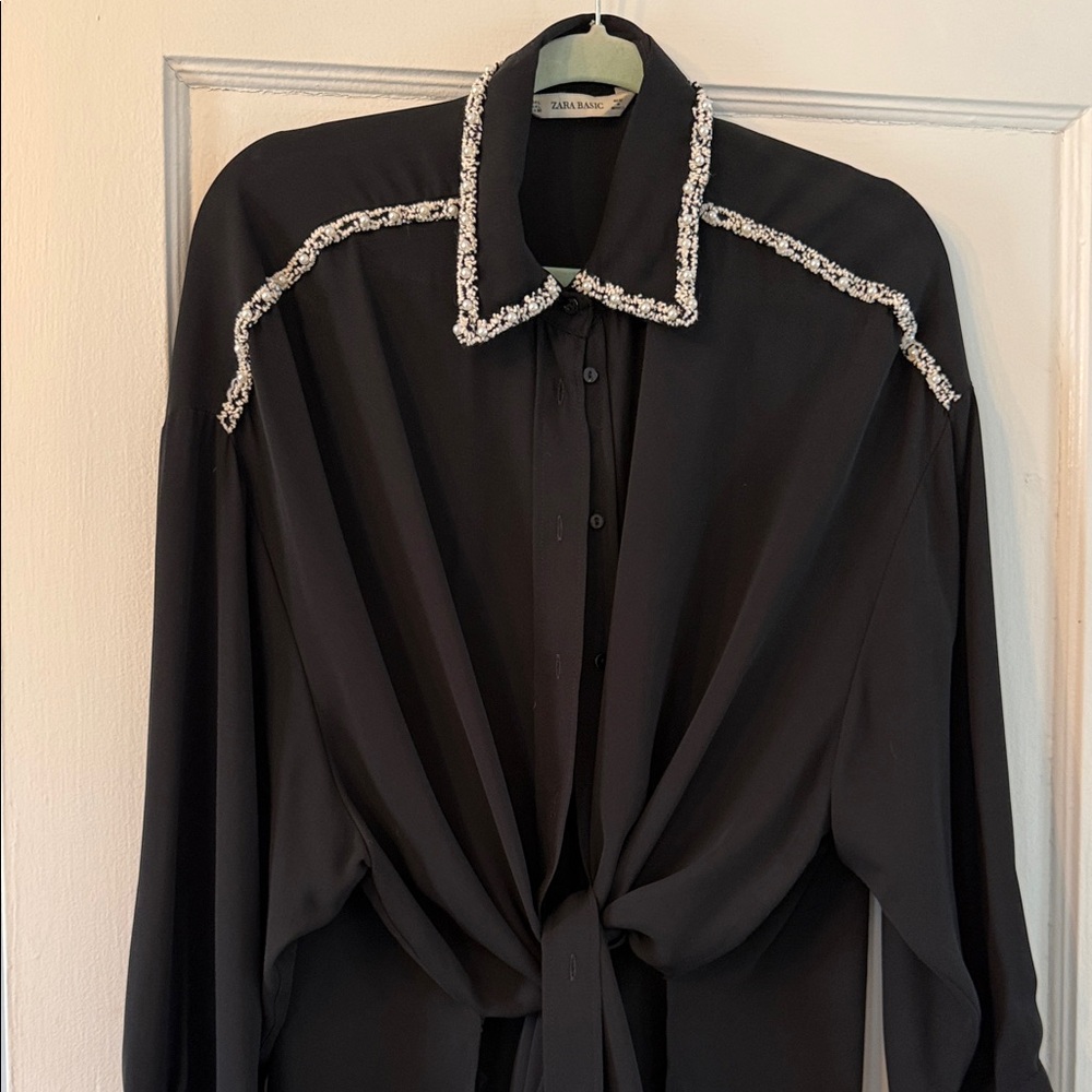 Zara Basic Black Button-Up Blouse with Embellished Collar - Picture 1 of 10